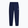 Férfi nadrág The North Face Evolution Simple Dome Regular Joggers summit navy 4