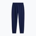 Férfi nadrág The North Face Evolution Simple Dome Regular Joggers summit navy 5
