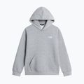Gyerekpulóver The North Face Evolution Simple Dome Pullover Hood tnf pale grey heather