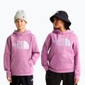 Gyerekpulóver The Noryh Face Essential Drew Peak Hoodie hushed lavender 3