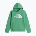 Gyerekpulóver The Noryh Face Essential Drew Peak Hoodie dimmed algae