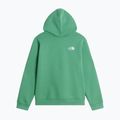 Gyerekpulóver The Noryh Face Essential Drew Peak Hoodie dimmed algae 2