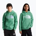 Gyerekpulóver The Noryh Face Essential Drew Peak Hoodie dimmed algae 3
