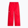 Gyerek sínadrág The North Face Freedom Insulated elevation red 4