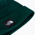 Téli sapka The North Face Dock Worker Recycled Beanie hunter green 2