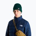 Téli sapka The North Face Dock Worker Recycled Beanie hunter green 3