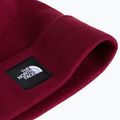 Téli sapka The North Face Dock Worker Recycled Beanie burgundy crush 2