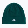 Téli sapka The North Face Norm Beanie hunter green