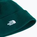 Téli sapka The North Face Norm Beanie hunter green 2