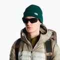Téli sapka The North Face Norm Beanie hunter green 3