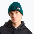 Téli sapka The North Face Salty Lined pacific teal 3