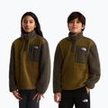 Gyerek polár pulóver The North Face Yumiori 1/4 Zip caraway seed/ne 3