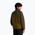 Gyerek polár pulóver The North Face Yumiori 1/4 Zip caraway seed/ne 5