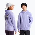 Gyerekpulóver The North Face Evolution Box NSE Pullover Hoodies pale plum