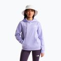 Gyerekpulóver The North Face Evolution Box NSE Pullover Hoodies pale plum 2