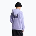 Gyerekpulóver The North Face Evolution Box NSE Pullover Hoodies pale plum 5