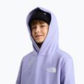 Gyerekpulóver The North Face Evolution Box NSE Pullover Hoodies pale plum 6