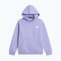 Gyerekpulóver The North Face Evolution Box NSE Pullover Hoodies pale plum 7