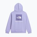 Gyerekpulóver The North Face Evolution Box NSE Pullover Hoodies pale plum 8