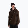 Férfi pulóver The North Face Evolution Simple Dome Regular Hoodie dark chestnut