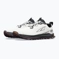 Férfi futócipők Altra Lone Peak 9+ vaporous grey/berry 2