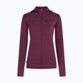 Női túra pulóver Icebreaker Merino 300 Realfleece Descender Zip Hoodie dark berry 11
