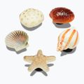 Crocs Jibbitz™ She Sells Seashells tű 5 db.
