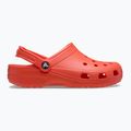 Papucs Crocs Classic starfish 2