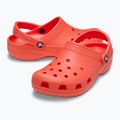 Papucs Crocs Classic starfish 3