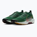 Férfi futócipő Nike Pegasus Trail 5 GORE-TEX fenyő/világos bíbor/agyag zöld 5