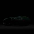 Férfi futócipő Nike Pegasus Trail 5 GORE-TEX fenyő/világos bíbor/agyag zöld 10