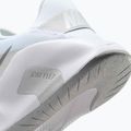 Női edzőcipő Nike Flex Train white/photon dust/metallic silver 9
