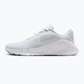 Férfi edzőcipő Nike Flex Train white/photon dust/white 9