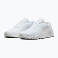Férfi edzőcipő Nike Flex Train white/photon dust/white 10