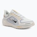 Férfi futócipő Nike Pegasus 41 GTX sail/football grey/sundial/ashen slate