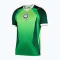 Férfi focimez Nike Nigeria 2026 Stadium Home pine green/electric green/white 7