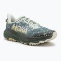 Férfi futócipő HOKA Speedgoat 6 GTX sea flass/fern