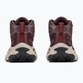 Férfi túracipők HOKA Transport Hike GTX deep mauve/smoky quartz 6