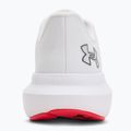 Férfi futócipő Under Armour Charged Rogue 5 castlerock/fekete/campus arany 6