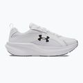 Férfi futócipő Under Armour Assert 11 fehér/fekete/távoli szürke