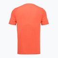Férfi edzőpóló Under Armour Vanish Elite Seamless venom red/ultimate black 2