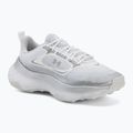 Női edzőcipők Under Armour Pulse white/distant gray/distant gray