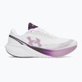 Női futócipők Under Armour Velociti Sport white/purple echo/mauve pink