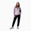 Női pulóver Columbia Benton Springs 1/2 Snap lavender pearl/shale purple/shark 2