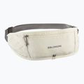Salomon Pulse Sling jégcsap / castlerock futóöv