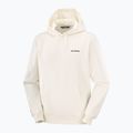 Férfi pulóver Salomon Chest Logo Hoodie whisper white 5