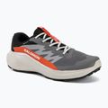 Férfi futócipők Salomon Alphaglide GTX castlerock/lunar rock