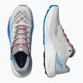 Férfi futócipő Salomon Pulsar lunar rock/white/french blue 8