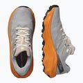 Férfi Salomon Ultra Flow 2 GTX futócipő gull/turmeric/white pepper 8