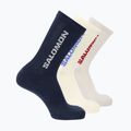 Zokni Salomon Everyday Crew 3 pairs spellbound/vanilla ice/lunar rock